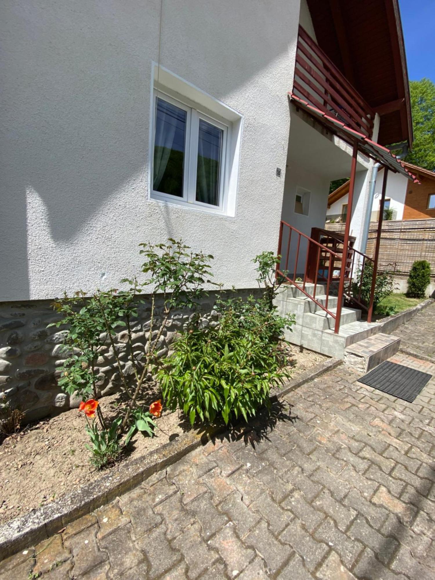 Vila Casa Micul Arin Sovata Exteriér fotografie