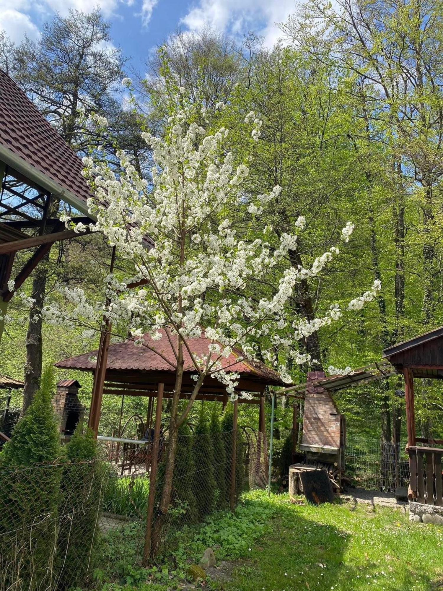 Vila Casa Micul Arin Sovata Exteriér fotografie