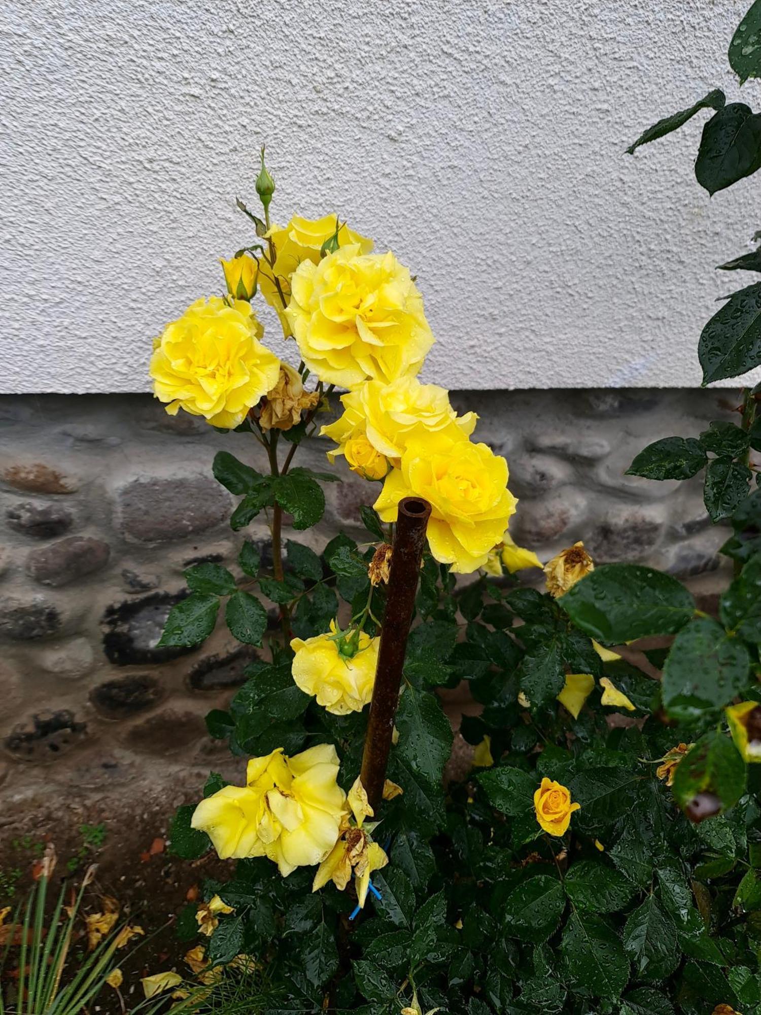 Vila Casa Micul Arin Sovata Exteriér fotografie